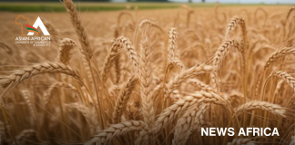 Several African economies are set to record the steepest food price increases in 2026.