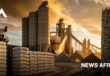Dangote Cement posts record $730m profit, raises dividend, expands footprint.